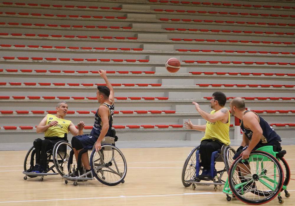 basket in carrozzina